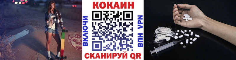Купить где  Петропавловск-Камчатский  COCAIN FishScale 