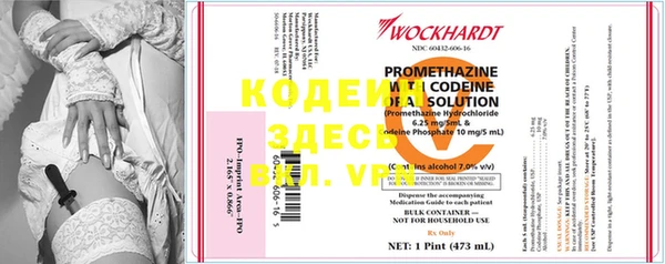ПСИЛОЦИБИНОВЫЕ ГРИБЫ Горно-Алтайск