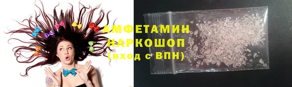 ПСИЛОЦИБИНОВЫЕ ГРИБЫ Горно-Алтайск