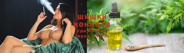ПСИЛОЦИБИНОВЫЕ ГРИБЫ Горно-Алтайск