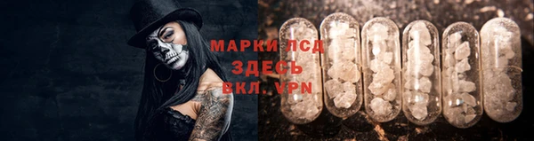 ПСИЛОЦИБИНОВЫЕ ГРИБЫ Горно-Алтайск