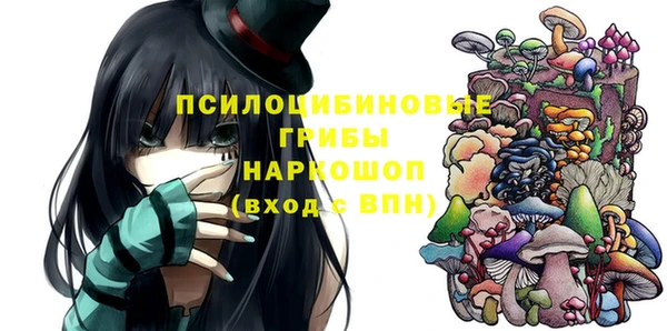 дурь Горнозаводск