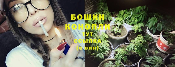 ПСИЛОЦИБИНОВЫЕ ГРИБЫ Горно-Алтайск