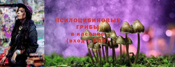 дурь Горнозаводск
