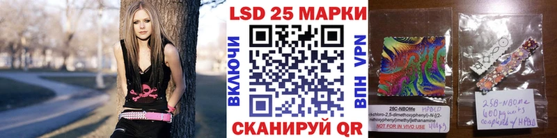 Наркотические марки 1500мкг  Купить закладки  Петропавловск-Камчатский 