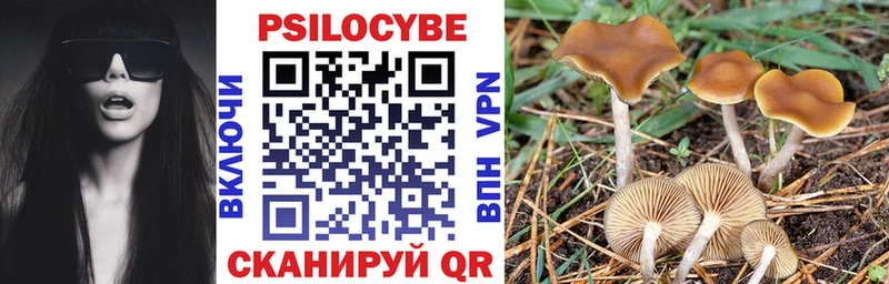 Купить закладки  Петропавловск-Камчатский  Галлюциногенные грибы GOLDEN TEACHER 